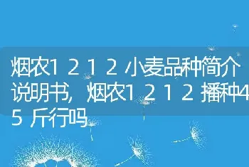 烟农1212小麦品种简介说明书