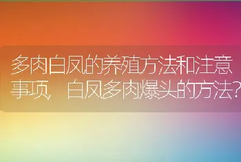 白凤多肉爆头的方法