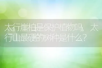 太行山最硬的树种是什么