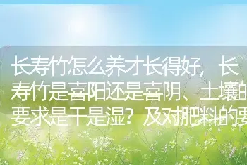 长寿竹是喜阳还是喜阴、土壤的要求是干是湿及对肥料的要求？