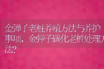 金弹子碳化老桩处理方法