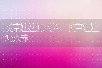 长草娃娃怎么养