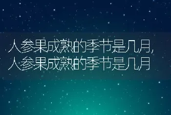 人参果成熟的季节是几月