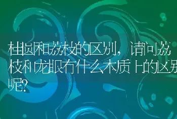 请问荔枝和龙眼有什么本质上的区别呢