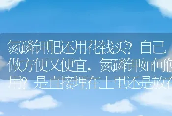 氮磷钾如何使用是直接埋在土里还是放在水里融化？