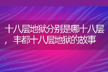 黄檀跟槐树有什么区别