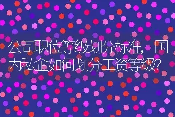 国内私企如何划分工资等级