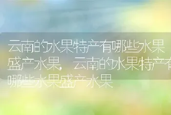 云南的水果特产有哪些水果盛产水果