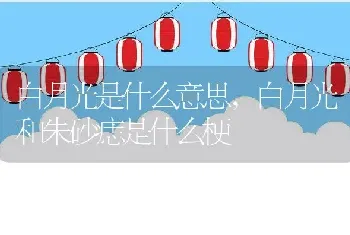 白月光是什么意思