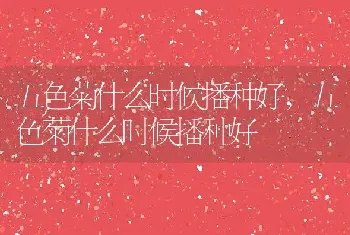 五色菊什么时候播种好