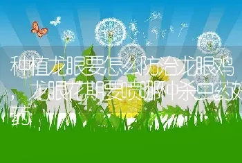 种植龙眼要怎么防治龙眼鸡