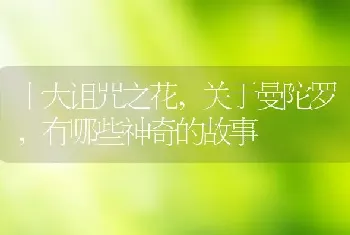 竹苗怎么栽种方法移栽竹子的种植方法