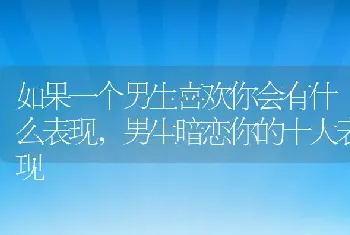 如果一个男生喜欢你会有什么表现