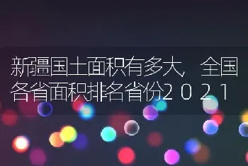 新疆国土面积有多大