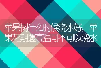 苹果树什么时候浇水好