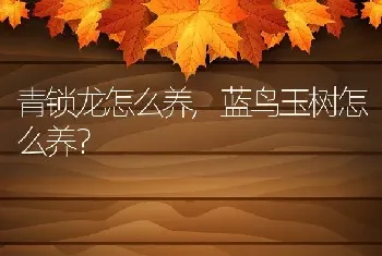 蓝鸟玉树怎么养