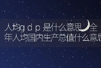 人均gdp是什么意思