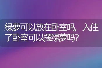 入住了卧室可以摆绿萝吗