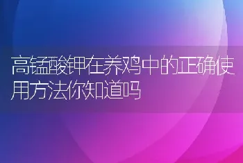 高锰酸钾在养鸡中的正确使用方法你知道吗