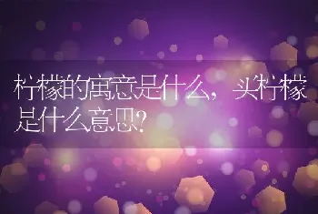 买柠檬是什么意思