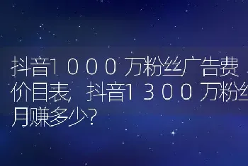 抖音1300万粉丝月赚多少