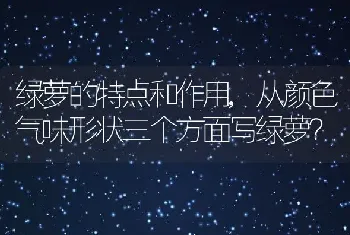 从颜色气味形状三个方面写绿萝