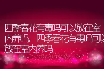 四季春花有毒吗可以放在室内养吗