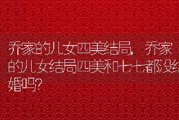 乔家的儿女结局四美和七七都没结婚吗