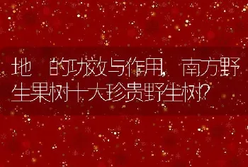 南方野生果树十大珍贵野生树