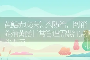 黄鳝赤皮病怎么防治