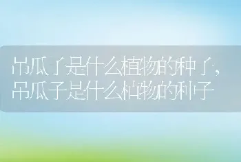 吊瓜子是什么植物的种子