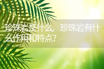 珍珠岩有什么作用和特点