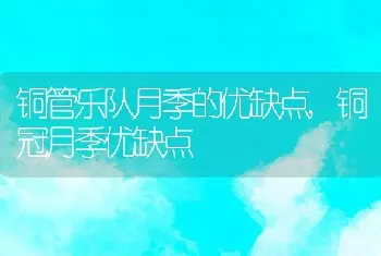 铜管乐队月季的优缺点