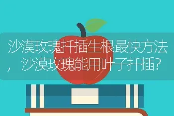 沙漠玫瑰能用叶子扦插