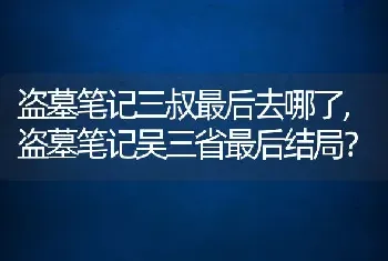 盗墓笔记吴三省最后结局