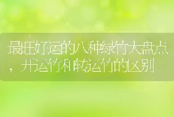 最旺好运的八种绿竹大盘点