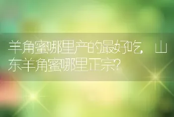 山东羊角蜜哪里正宗