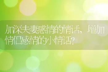 增加情侣感情的小情话