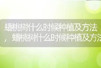 蟠桃树什么时候种植及方法