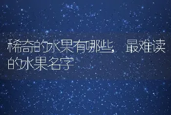 稀奇的水果有哪些