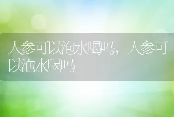 人参可以泡水喝吗