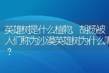 胡杨被人们称为沙漠英雄树为什么呢