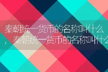 秦朝统一货币的名称叫什么