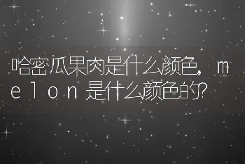 melon是什么颜色的