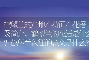 鹤望兰的花语是什么？