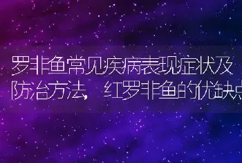 罗非鱼常见疾病表现症状及防治方法