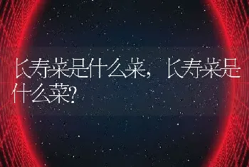 长寿菜是什么菜