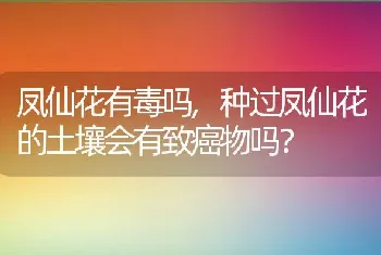 种过凤仙花的土壤会有致癌物吗