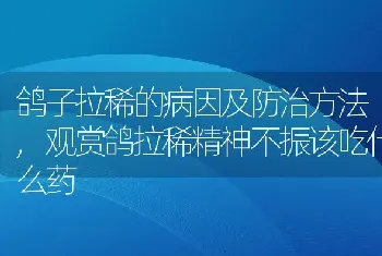 热带雨林的环境效应有那些