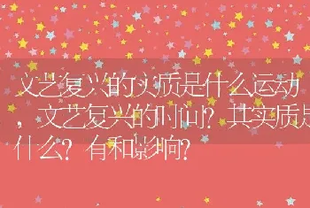 文艺复兴的时间其实质是什么？